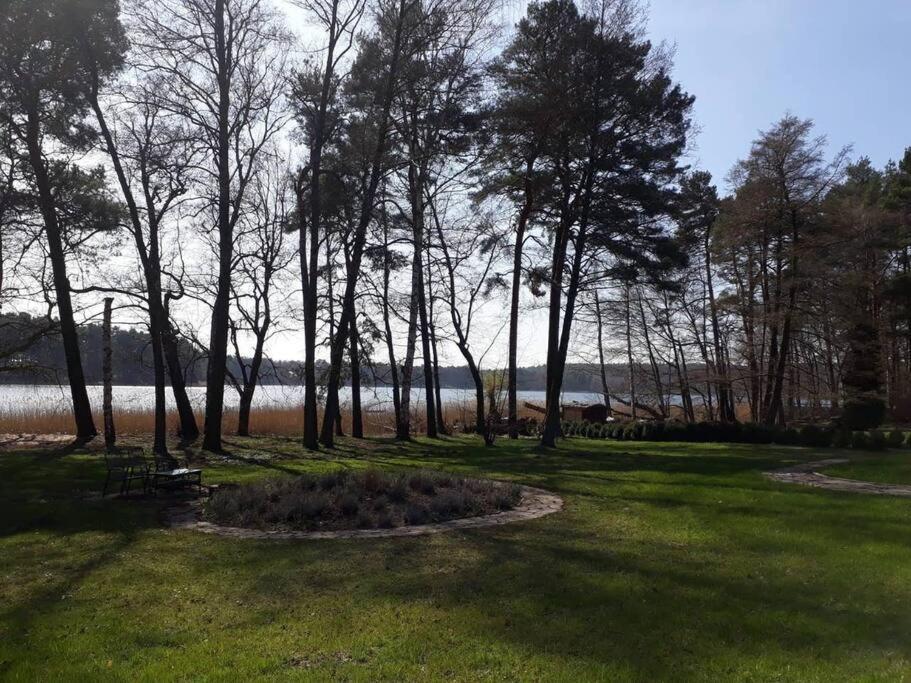 Penthouse Bernd Im Waldschloesschen Direkt Am See 文迪施里茨 外观 照片