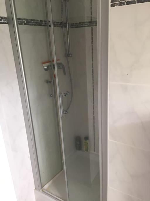 Penthouse Bernd Im Waldschloesschen Direkt Am See 文迪施里茨 外观 照片