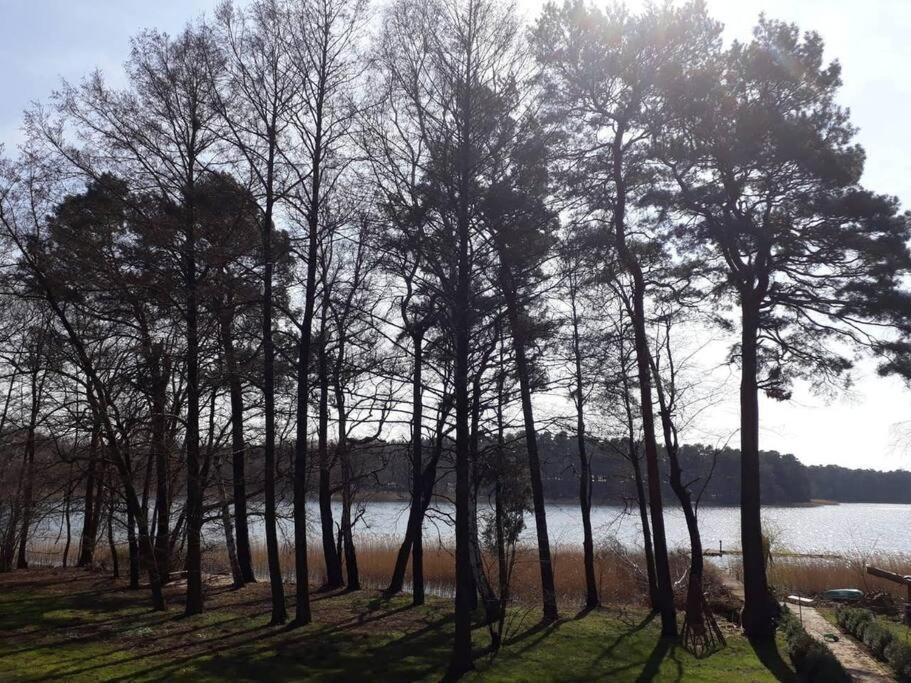 Penthouse Bernd Im Waldschloesschen Direkt Am See 文迪施里茨 外观 照片