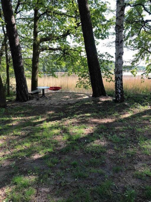 Penthouse Bernd Im Waldschloesschen Direkt Am See 文迪施里茨 外观 照片